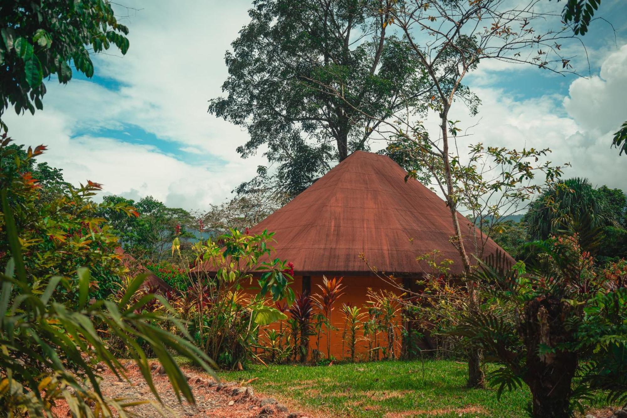 Cotundo Huasquila Amazon Lodge מראה חיצוני תמונה